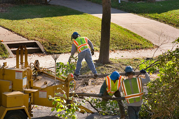  Weyauwega, WI Tree Removal and Landscaping Services Pros